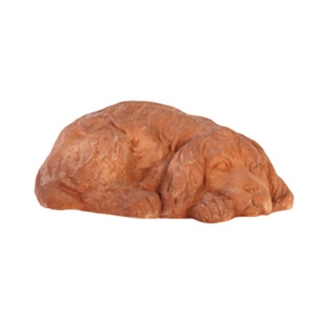 Cocker Spaniel Lying Down in Terracotta